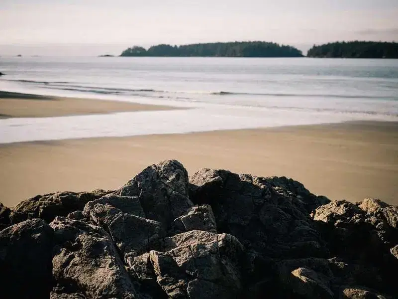 Finance team collaborating